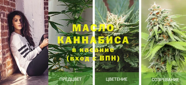 каннабис Инта