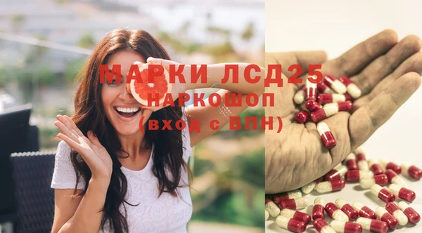 прущие крисы Болхов